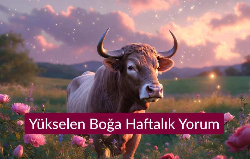 13 Haziran 2026 Boğa Burcu Günlük Yorumu (Aşk Sağlık Para) 14 Yükselen Boğa Haftalık Yorum (Aşk, Sağlık, Para)